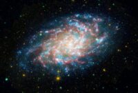 Galaxy xcover
